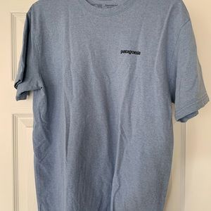 Light Blue Patagonia T Shirt